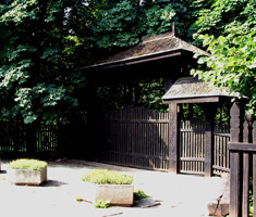 The Botanical garden